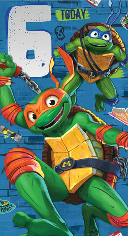 Teenage Mutant Ninja Turtles Age 6 Birthday Card