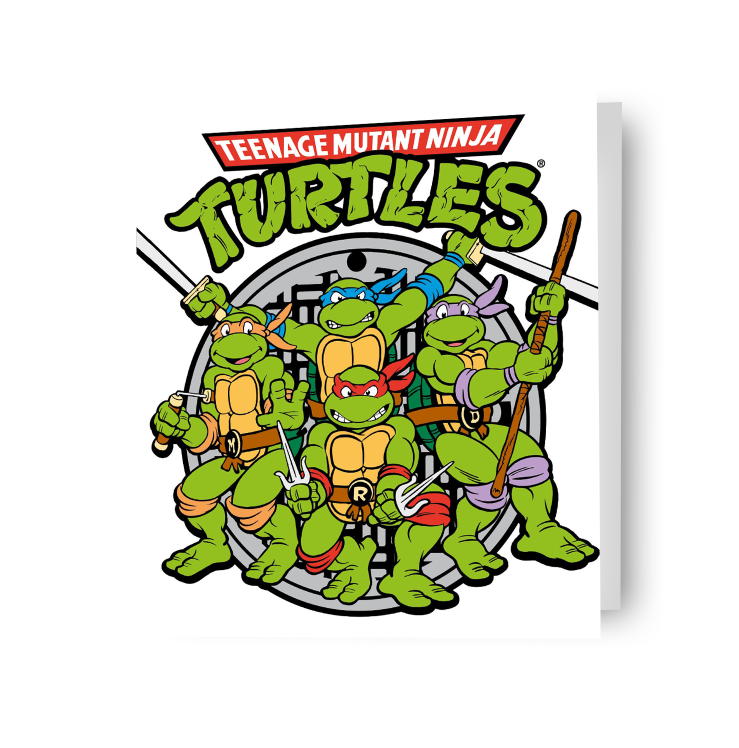 Teenage Mutant Ninja Turtles Birthday Card – Danilo Promotions