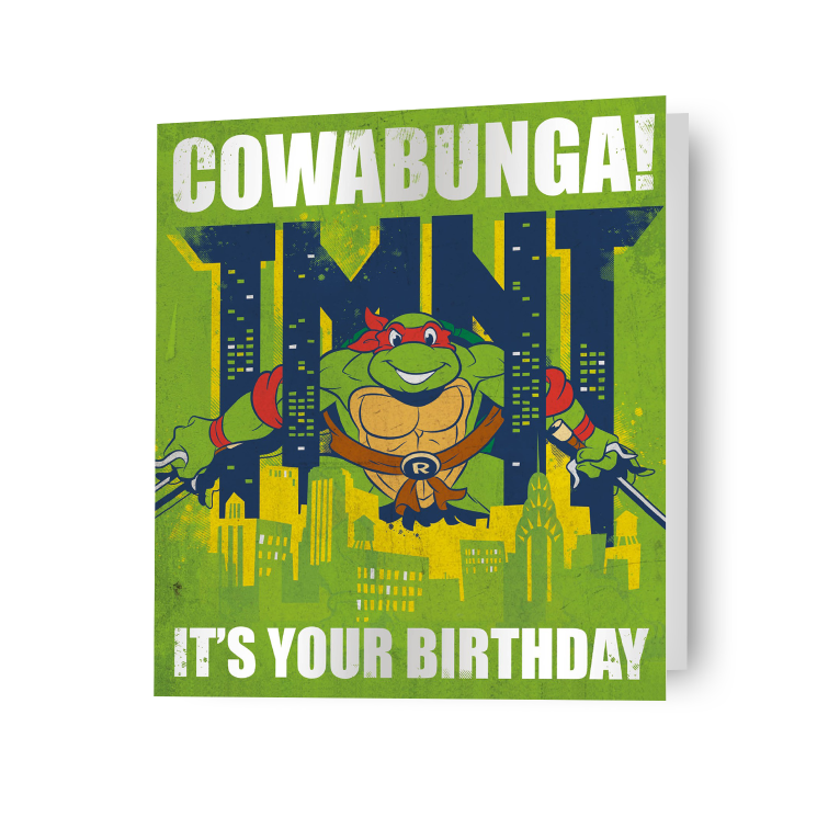 Teenage Mutant Ninja Turtles Birthday Card Danilo Promotions