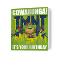 Teenage Mutant Ninja Turtles Birthday Card