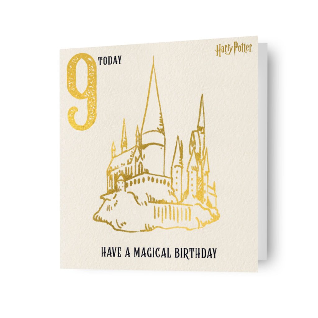 Harry Potter Age 9 Birthday Card