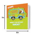 Warner Bros Scooby Doo Birthday Card