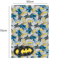 Batman 2 Sheets & 2 Tags Wrapping Paper