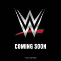 WWE MEN 2025 A3 CALENDAR