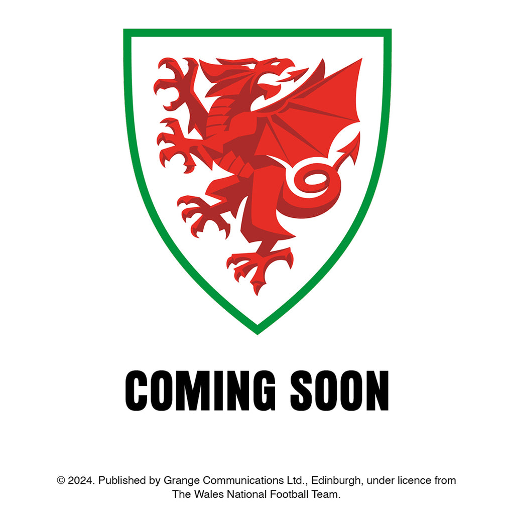 WALES NATIONALE VOETBAL 2025 A3 KALENDER