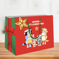 Bluey Christmas Medium Gift Bag