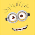 Despicable Me Special Birthday, Officially Licensed Product an Official Danilo Promotions Product