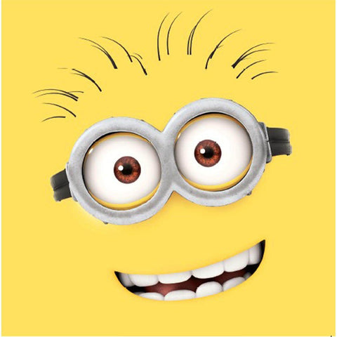 Despicable Me Special Birthday, Officially Licensed Product an Official Danilo Promotions Product