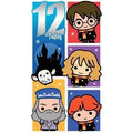 Harry Potter Age 12 Birthday Card an Official Harry Potter Product