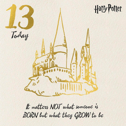 Harry Potter Age 13 Birthday Card an Official Harry Potter Product
