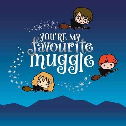 Harry Potter Favourite Muggle Birthday Card an Official Harry Potter Product