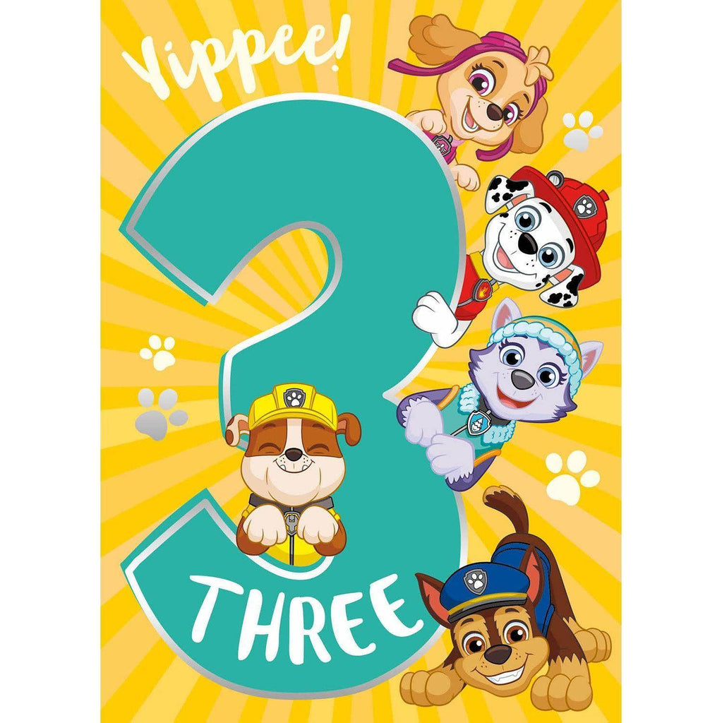 Paw Patrol Age 3 Birthday Card an Official Paw Patrol Product