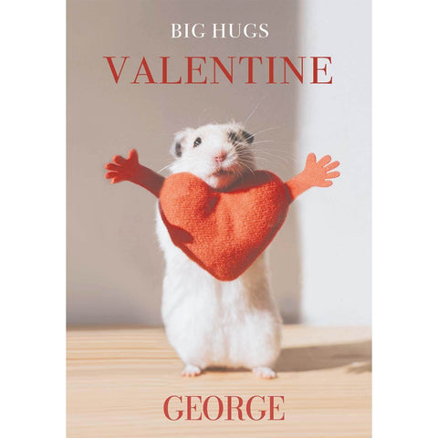 Personalised Animal Planet Hamster Valentines Card- Any Name an Official Animal Planet Product