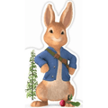 Peter Rabbit Die Cut Birthday Card an Official Peter Rabbit Product