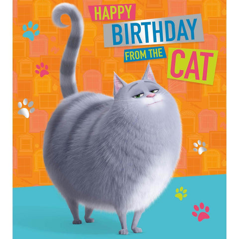 Secret Life Of Pets Birthday Card From The Cat, Officially Licensed Product an Official Secret Life Of Pets Product