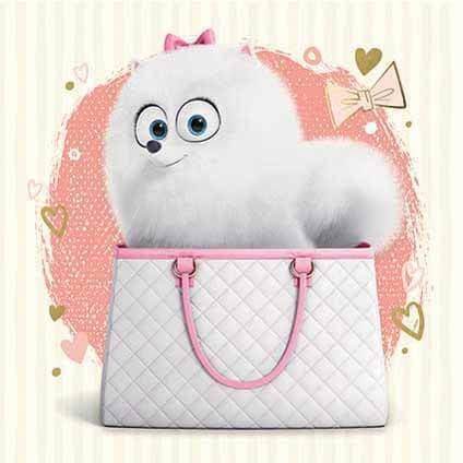 Secret Life Of Pets Blank Card an Official Secret Life of Pets Product